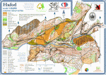 Image of the Hafod map
