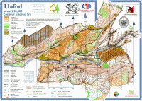 Image of the Hafod map
