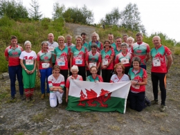 VHI 2014 Welsh Team, 