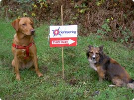 Izzie and Kimber providing directions to the event, 