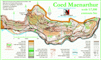Image of the Coed Maenarthur map